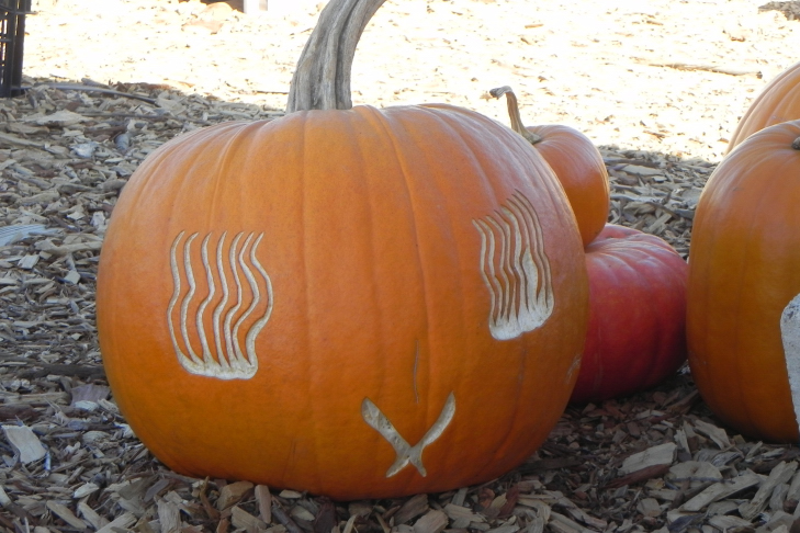 Pumpkin Carving Idea Flirty